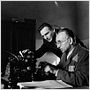 Schindlers Liste