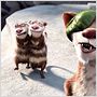 Ice Age 3 - Die Dinosaurier sind los