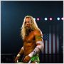 The Wrestler