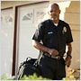 Lakeview Terrace