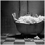 Mary & Max - oder Schrumpfen Schafe wenn es regnet?