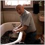 Sunshine Cleaning