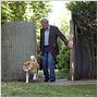 Hachiko - Eine wunderbare Freundschaft