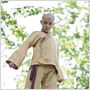 Die Legende von Aang