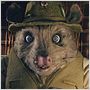Der fantastische Mr. Fox