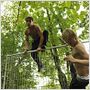 Parkour
