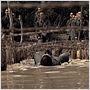 Silmido
