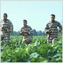 O Brother, Where Art Thou?