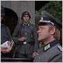 Ein Haufen verwegener Hunde - Inglorious Bastards