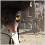Rango