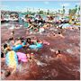 Piranha 3D