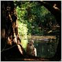 Jane's Journey - Die Lebensreise der Jane Goodall