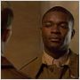 Red Tails