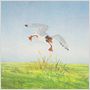 Watership Down
