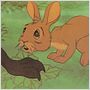 Watership Down