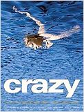 Crazy