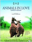 Animals In Love