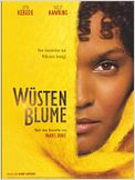 Wüstenblume