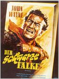 Der Schwarze Falke