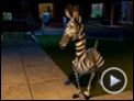 Madagascar Trailer DF