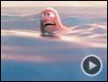 Findet Nemo Trailer DF