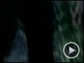 Tigerland Trailer DF