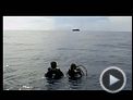 Open Water Trailer DF