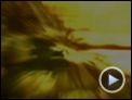 Tooth and Nail Trailer DF