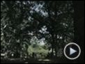 Shiver Trailer DF