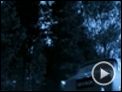 Backwoods Trailer DF