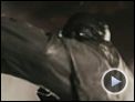 The Spirit Trailer (5) DF