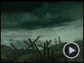 #9 Trailer DF