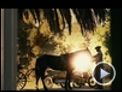The Fall Trailer DF