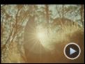 Wo die wilden Kerle wohnen Trailer OV