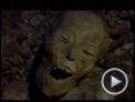 Nosferatu – Phantom der Nacht Trailer DF