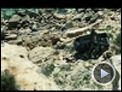 Kommissar Bellamy Trailer DF
