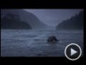 Dying Breed Trailer DF