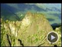 Grizzly Man Trailer DF