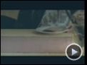 Jakobs Bruder Trailer DF