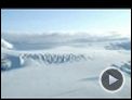 Whiteout Teaser DF