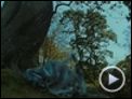 Alice im Wunderland Teaser OV