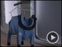 Space Buddies Trailer DF