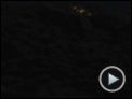 Wo die wilden Kerle wohnen Trailer (3) OV