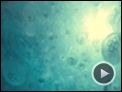Unsere Ozeane Trailer DF