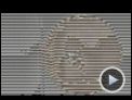 Parkour Trailer DF