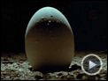 Alien - Das unheimliche Wesen aus einer fremden Welt Trailer OV