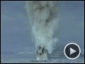 Begegnungen am Ende der Welt Trailer DF