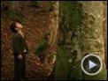 Bal - Honig Trailer OV