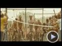 Die Beschissenheit der Dinge Trailer