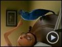 Rio Trailer DF